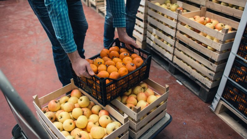 Popüler konuları tartışmak için 9 En İyi WordPress Forum eklentisi