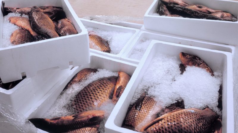 Sıralamada bir azalma nasıl teşhis edilir (şimdiye kadar gördüğümüz en çılgın SEO sorunu)